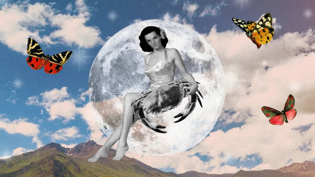 Akademik bölümünüzü ve kariyer rotanızı belirleyin: Yükselen Yengeç 1